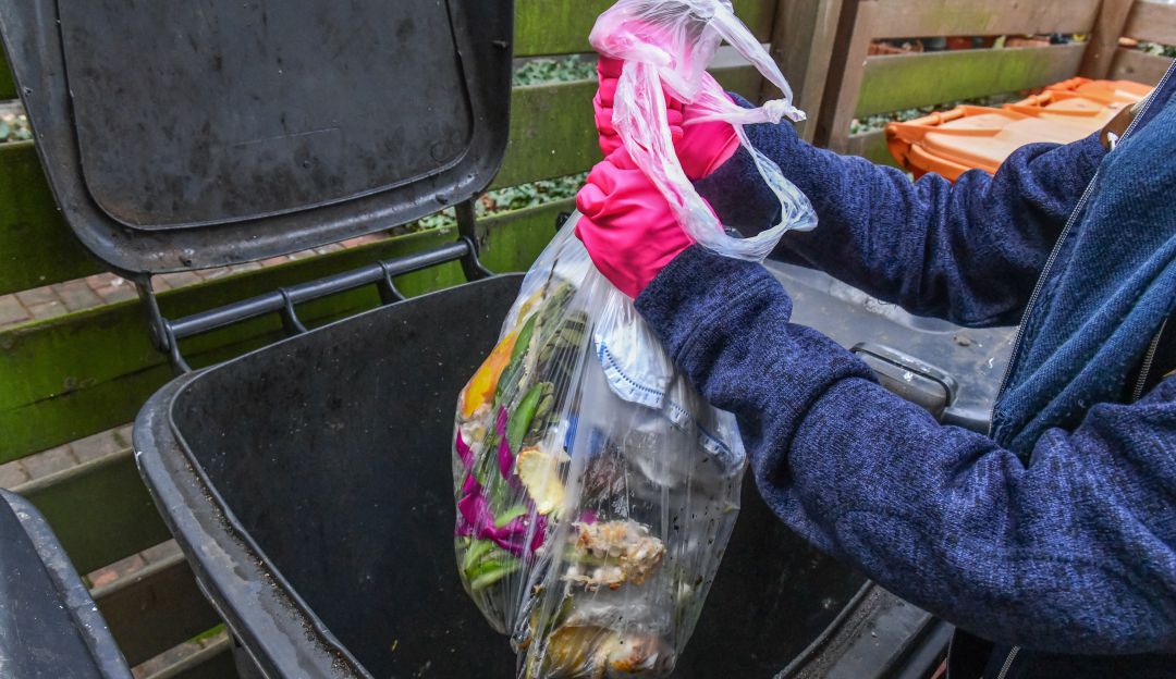 Cómo se para la basura para reciclar: Así será el nuevo código de colores para separación de residuos en Colombia