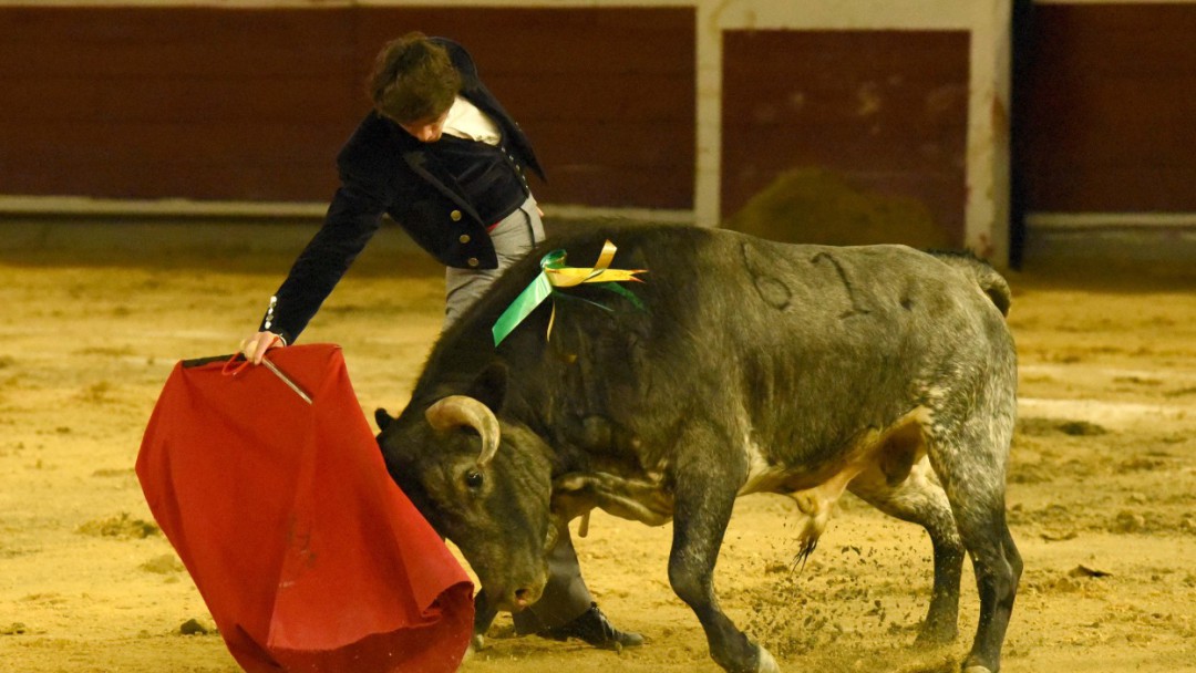 Castella y Luis David, triunfadores en el Festival Señor de Los Cristales