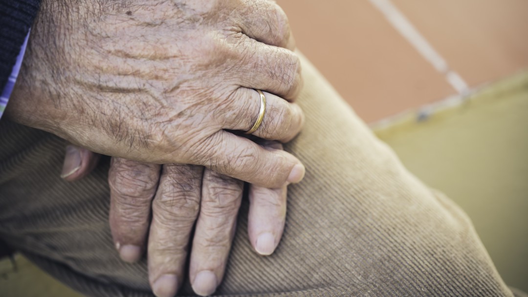 Tribunal reconoció pensión a abuelos que no cumplían con semanas cotizadas