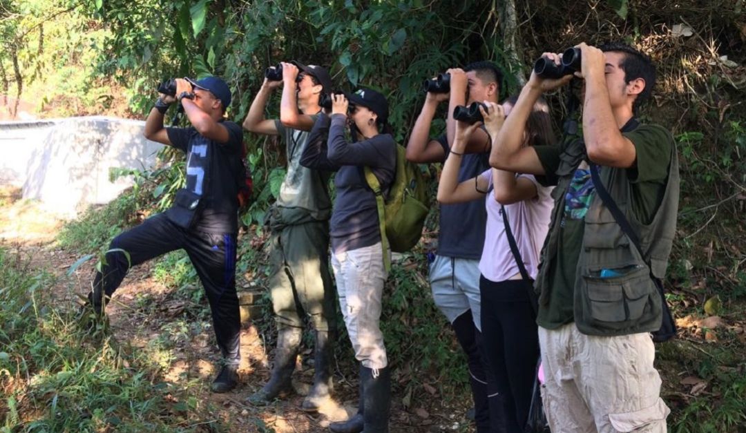 turismo: naturaleza; manizales; feria: En la Feria de Manizales se le apuesta al turismo de naturaleza