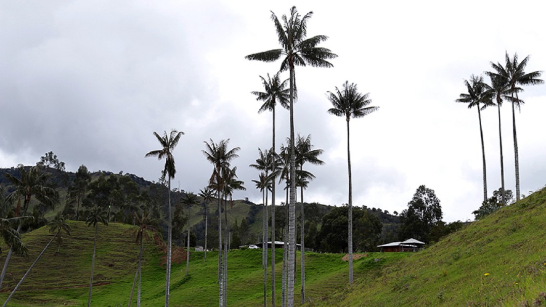 El Valle de La Samaria es turismo y conservación