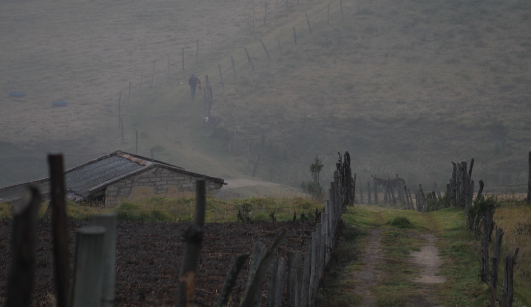Heladas, clima, agricultura: Heladas causan daños en cultivos de varias zonas de Colombia