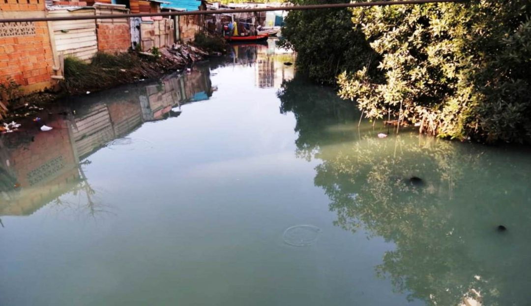 Peces en Cartagena: Falta de oxígeno ocasiona mortandad de peces en Cartagena