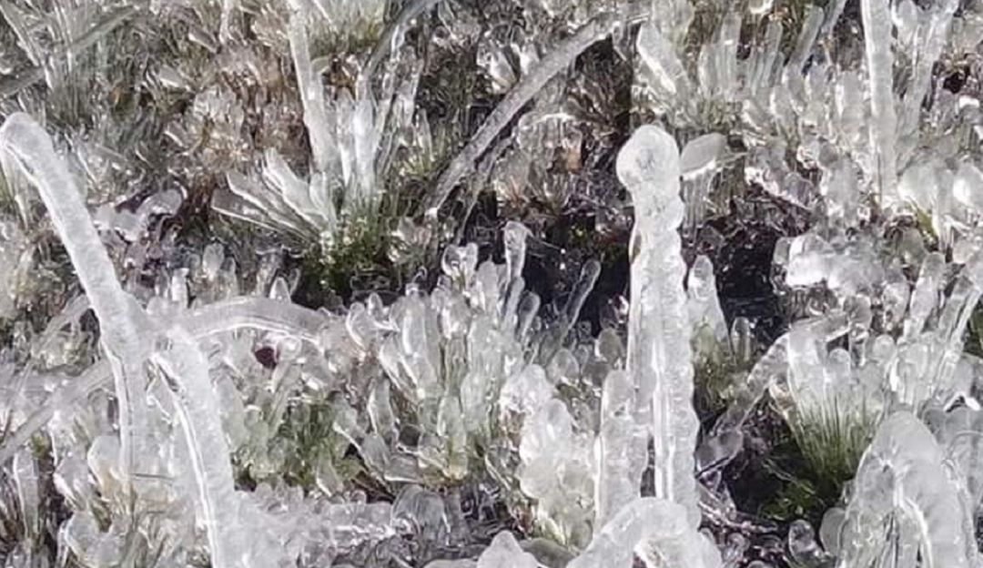 FRÍO PÁRAMO SANTURBÁN CORREGIMIENTO BERLÍN TONA SANTANDER VIA CÚCUTA.: Hasta el agua de la tubería se congeló