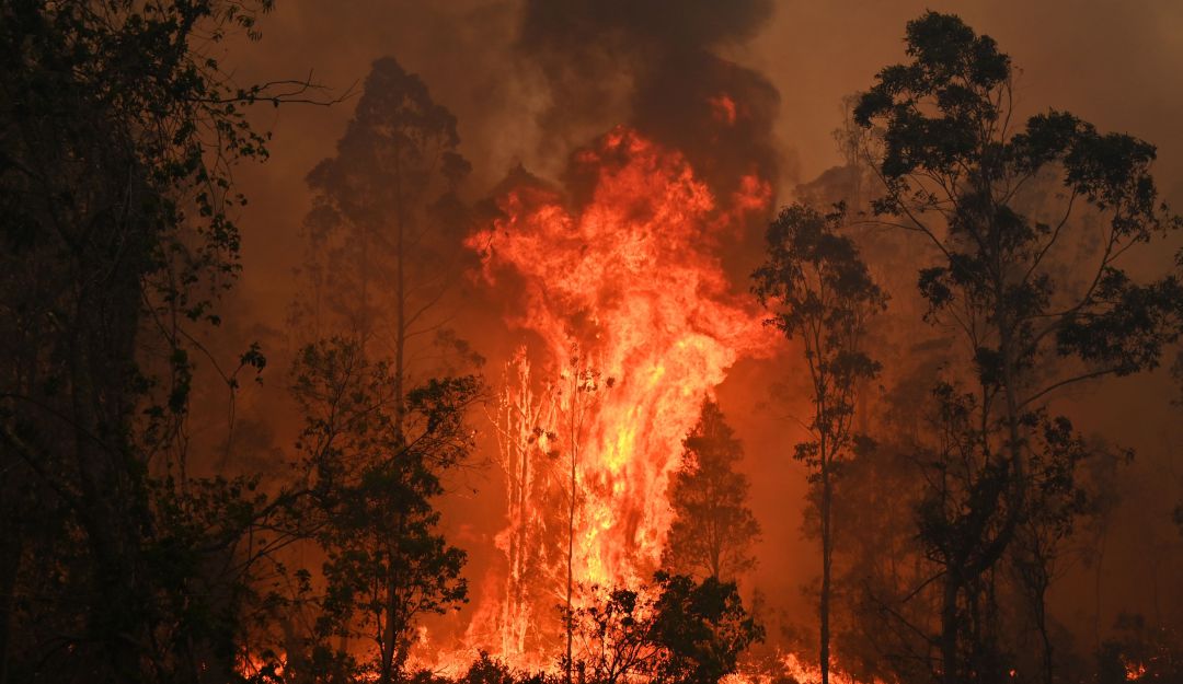 Sin control amanece un incendio forestal entre Saboyá y Sutamarchán, Boyacá: Sin control amanece un incendio forestal entre Saboyá y Sutamarchán, Boyacá