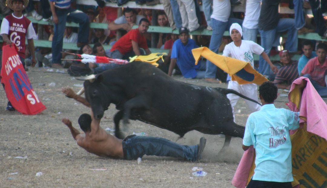 Colosó, Sucre, corralejas, muertos, Sincelejo, heridos: Un muerto y un herido en corralejas de Colosó, Sucre