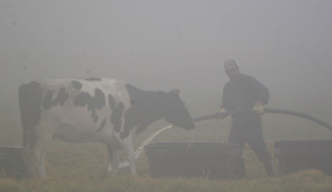 Volvieron a intensificarse las heladas en Boyacá: Volvieron a intensificarse las heladas en Boyacá