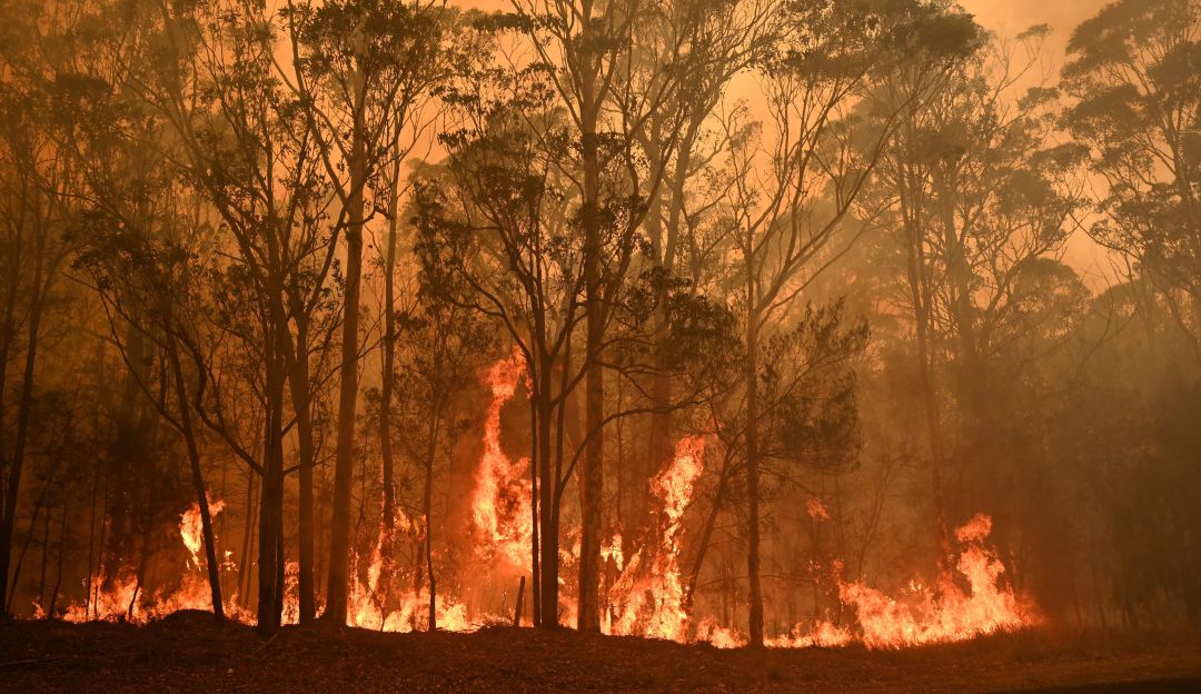 Ashleigh Barty ayuda incendios de Australia: ¡De aplaudir! Tenista #1 del mundo donará premio a víctimas por incendios