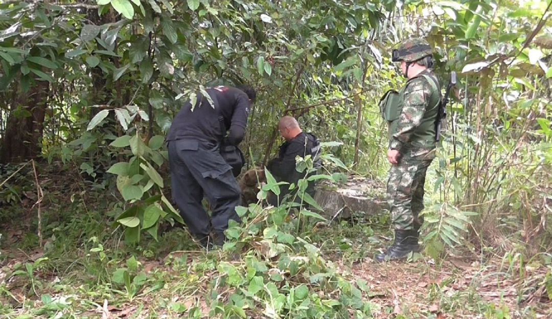 Fosas comunes en Nariño: Hallan dos fosas comunes con seis cuerpos en Nariño