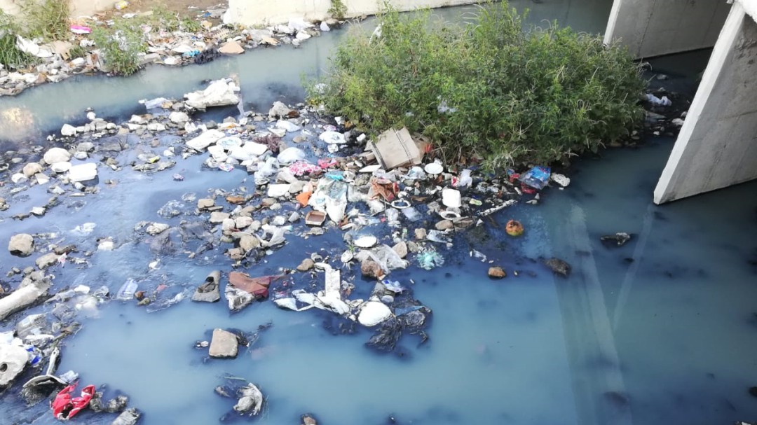 Pumarejo descarta fumigación por dengue