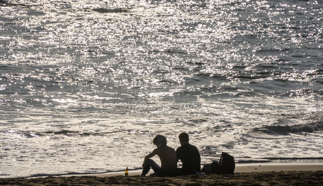 Cambio climático 2019: 2019 fue el segundo año más cálido jamás registrado en el mundo