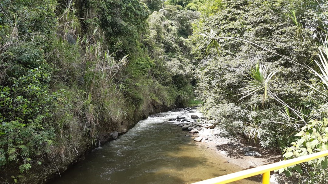 Si en 2 semanas no llueve, tendríamos problema de agua:alcaldesa Circasia
