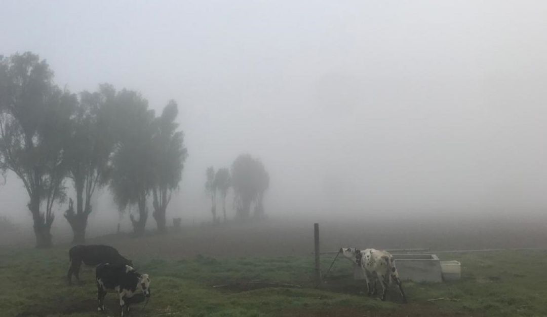 Heladas en Boyacá: Más de 600 hectáreas de pasto, hortalizas y papa dañadas por las heladas