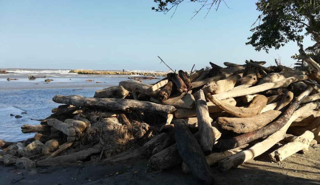 Playas del Atlántico: Advierten nueva palizada en playas de Puerto Colombia