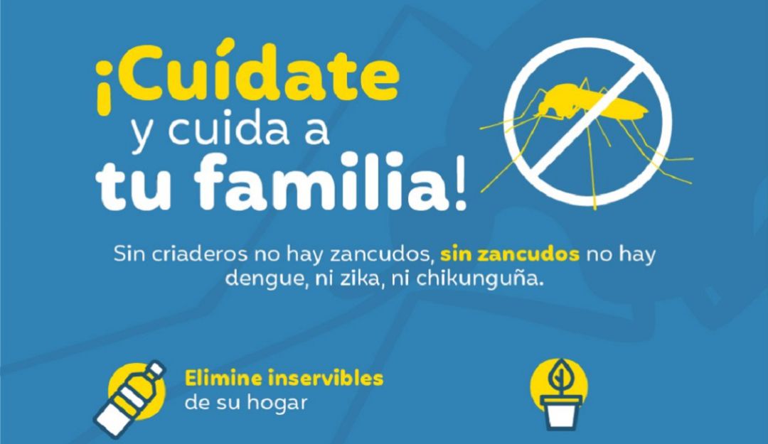Dengue en cali: Alerta Amarilla en Cali por incremento de casos de Dengue