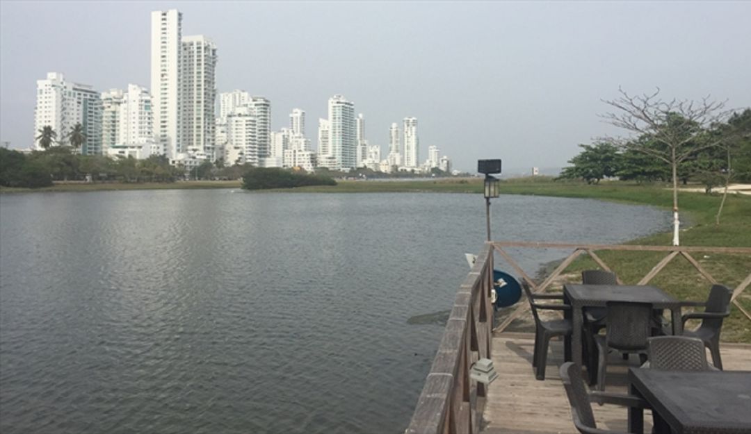 Retiro bombas aireadoras mejoramiento agua El Laguito Cartagena: Retiran bombas aireadoras tras mejoramiento del agua en El Laguito