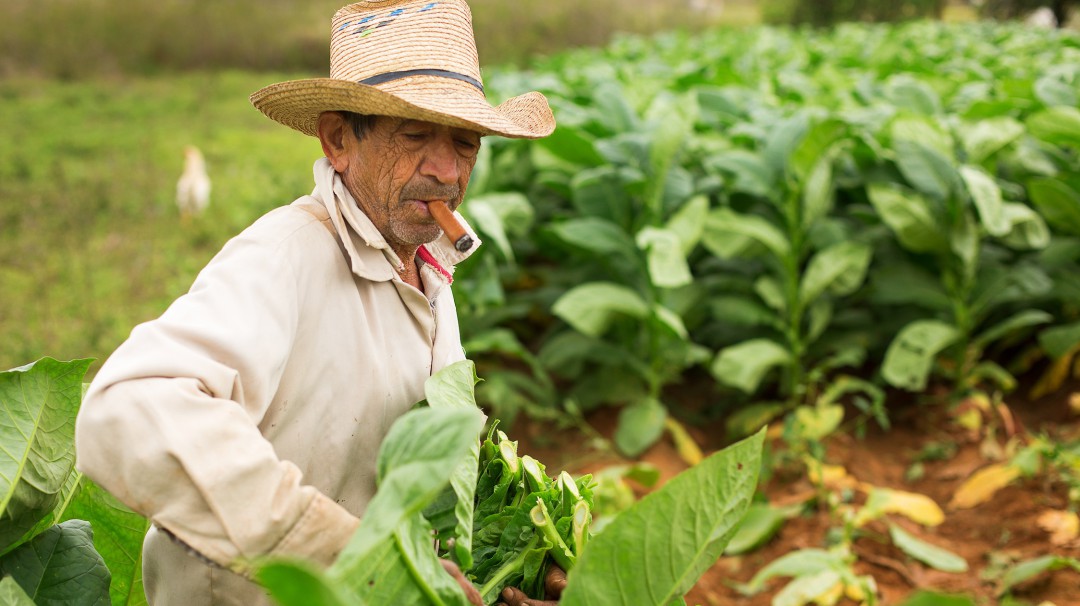 Prácticas para contribuir a la protección de los suelos