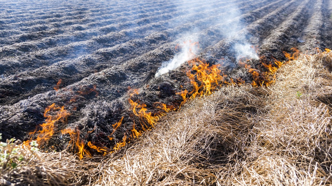 Expansión de la frontera agropecuaria