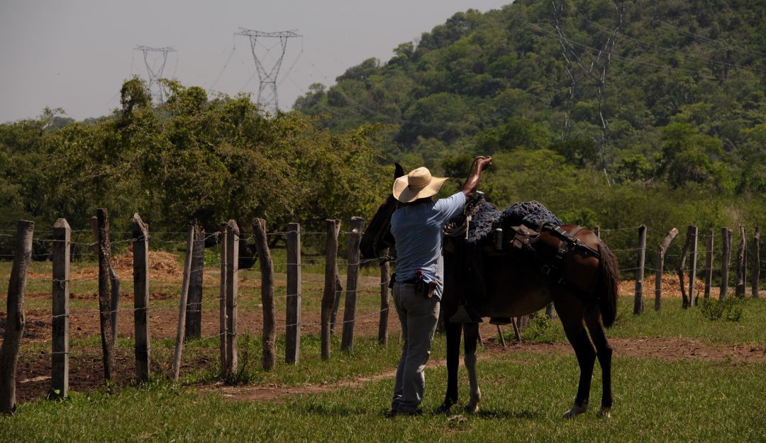 Las quemas pueden afectar la transmisión de energía eléctrica: Las quemas pueden afectar la transmisión de energía eléctrica