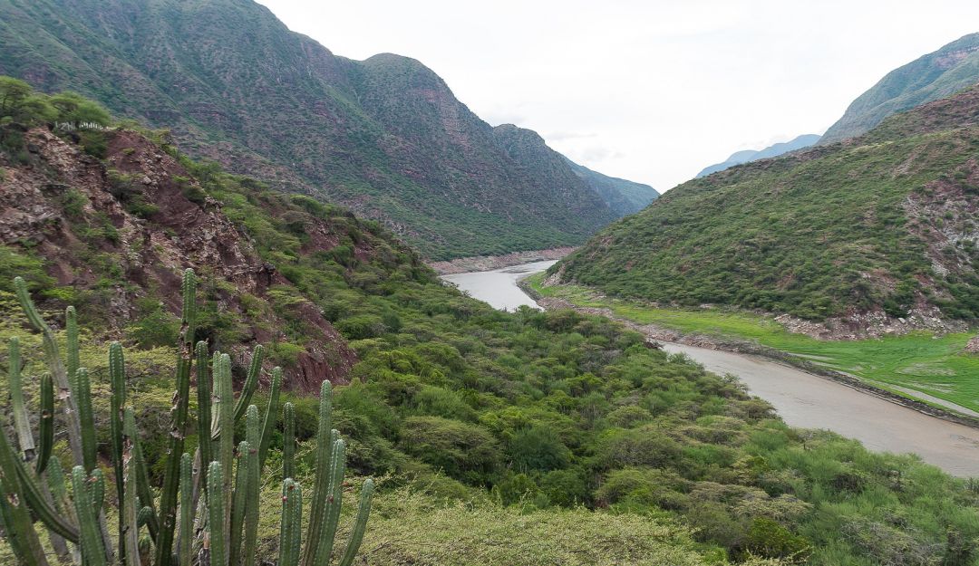 “Un país sin quemas” por la protección de nuestro territorio: “Un país sin quemas” por la protección de nuestro territorio