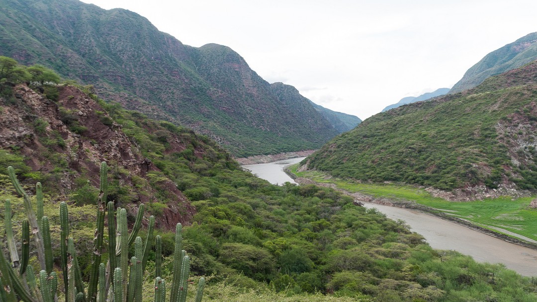 "Un país sin quemas" por la protección de nuestro territorio