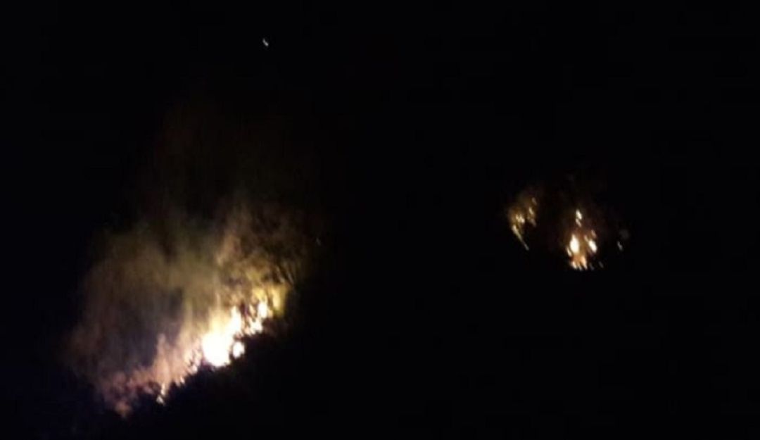 BUCARAMANGA, SANTANDER, INCENDIOS FORESTALES, MATANZA: Cultivos de café se dañaron tras incendio en Matanza
