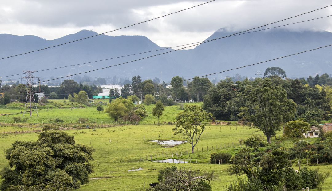 Reservas naturales en Bogotá: Proyecto Lagos de Torca aclara que no toca reserva Van Der Hammen
