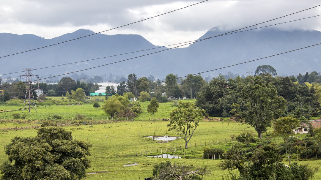 Proyecto Lagos de Torca aclara que no toca reserva Van Der Hammen