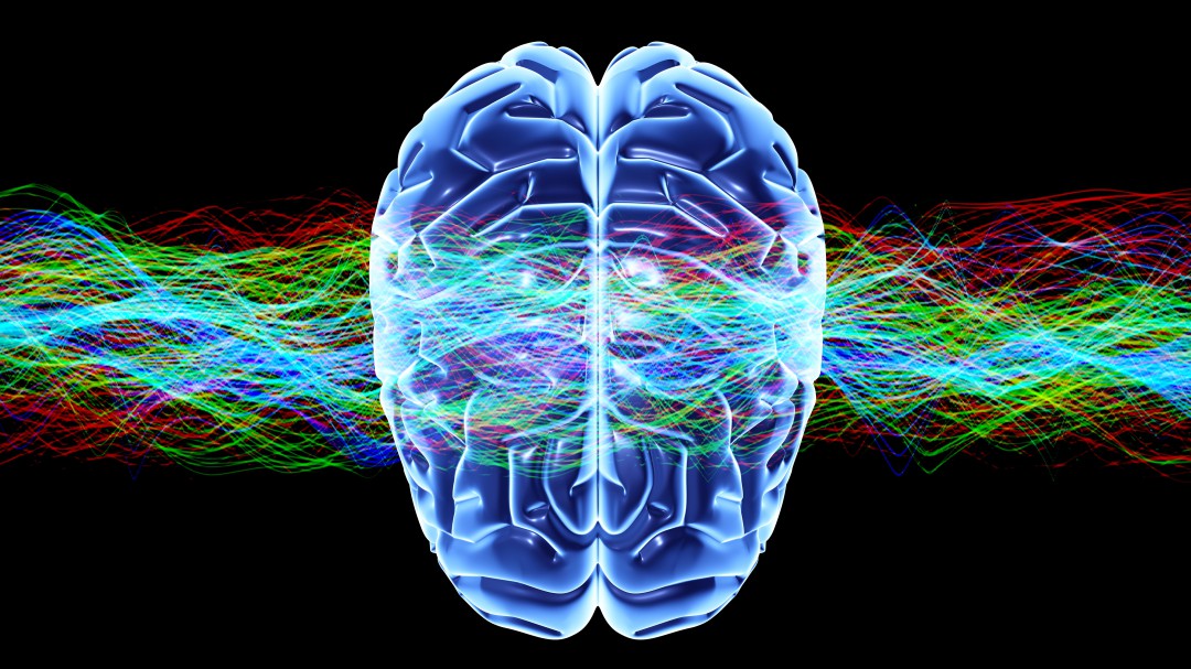 Gracias a la neurociencia usted podrá mejorar sus hábitos cotidianos