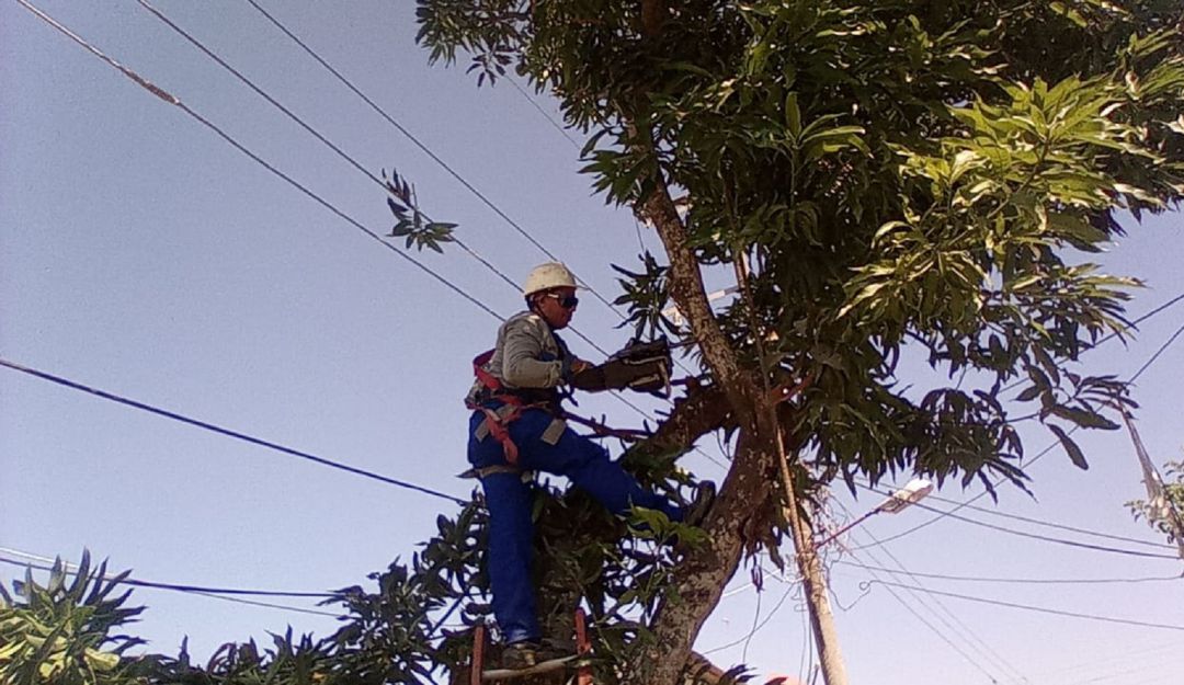 Optimización de redes varios municipios Bolívar sin luz: Por optimización de redes, varios municipios de Bolívar no tendrán luz