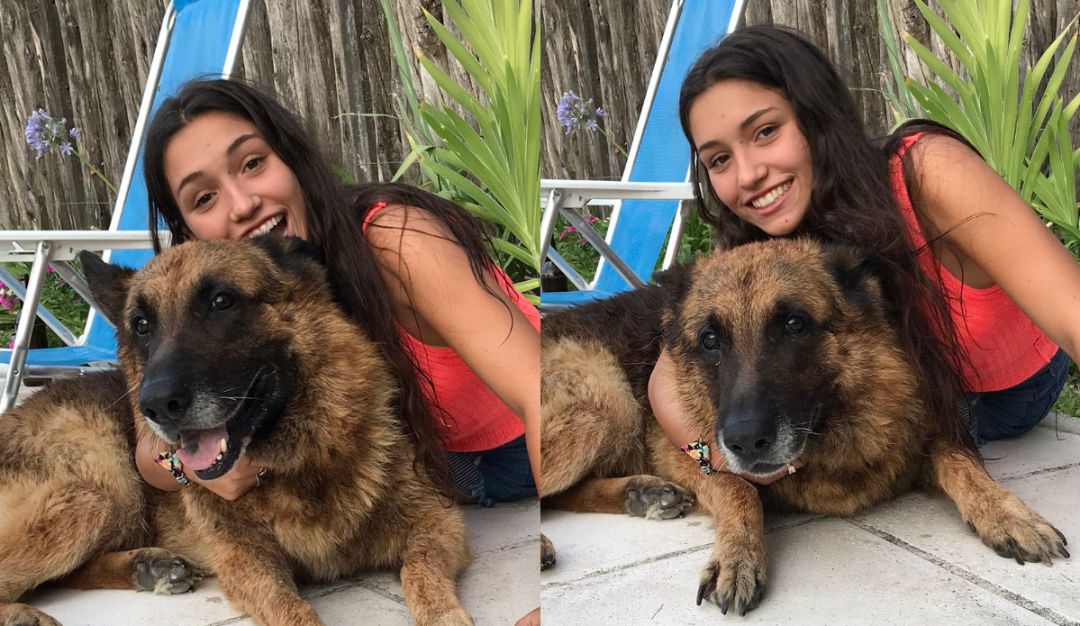 Perro muerde a joven en sesión de fotos: Sesión de fotos con su perro salió mal: la mordió y así la dejó