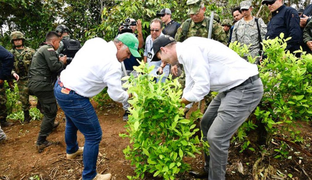 Duque no descarta uso de glifosato para erradicación de cultivos ilícitos