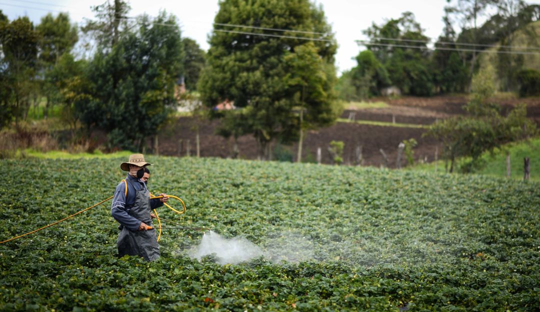 Retos de los agrónomos: más productividad, empleo formal y menos pobreza