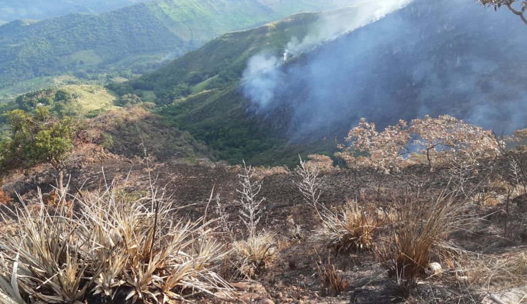 Incendios forestales en Tolima: Alerta Roja en Tolima por incendios forestales