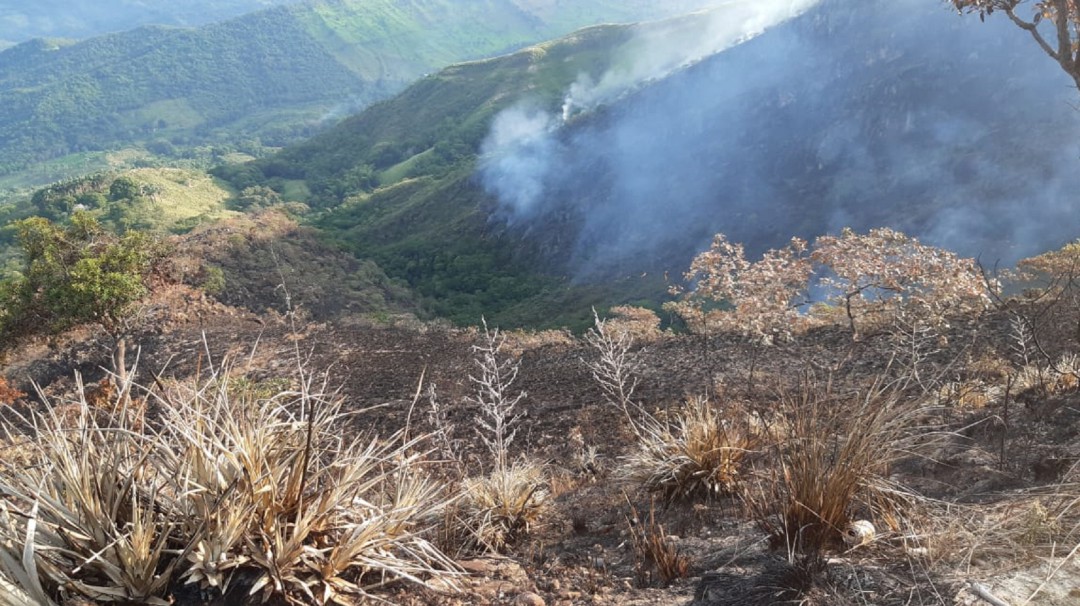 Alerta Roja en Tolima por incendios forestales