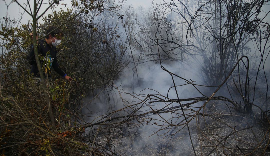 Incendios en Cartagena: Incendios forestales en Cartagena afectan a hospitales y clínicas