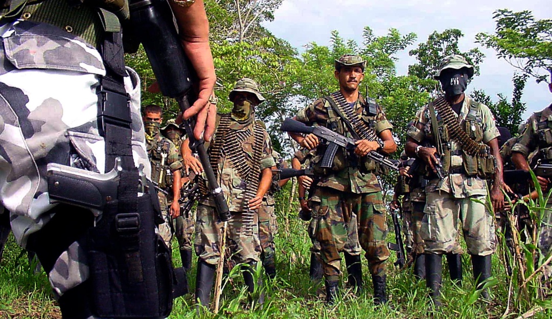 Farc lista de organizaciones terroristas: Colombia no incluye a Farc en lista de organizaciones terroristas