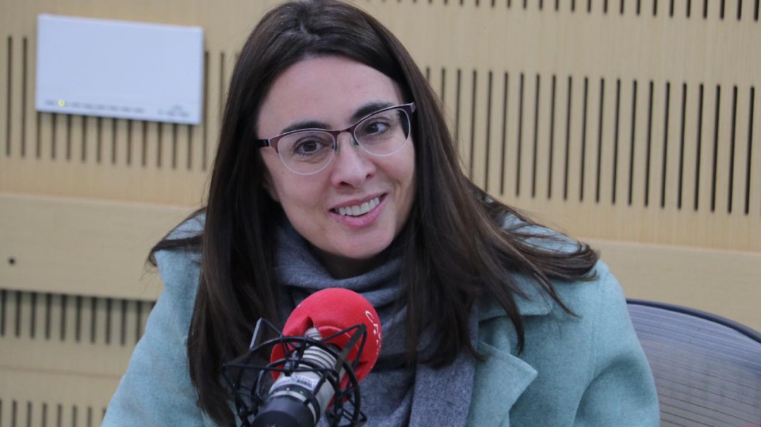 Hay que leer todo con lo que pasa con Irán: Botero, sobre visita de Pompeo