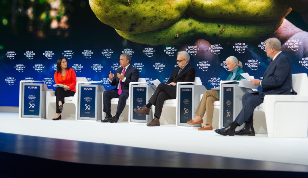 Colombia lanza estrategia de Biodiverciudades para protección de Amazonía