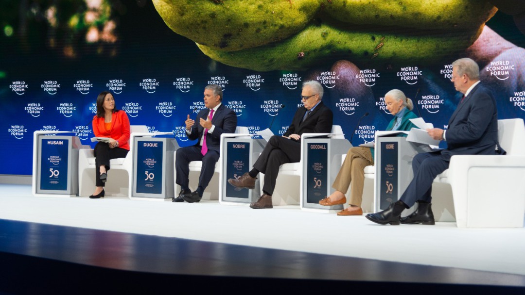 Colombia lanza estrategia de Biodiverciudades para protección de Amazonía