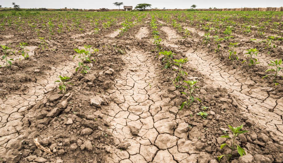 Altas temperaturas provocan sequía: A 32 aumentó el número municipios con desabastecimiento de agua