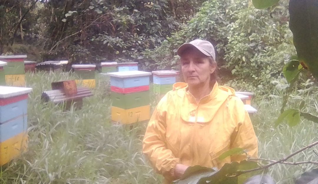 Miel de abejas: Abejas para la paz, dulce miel desde El Socorro