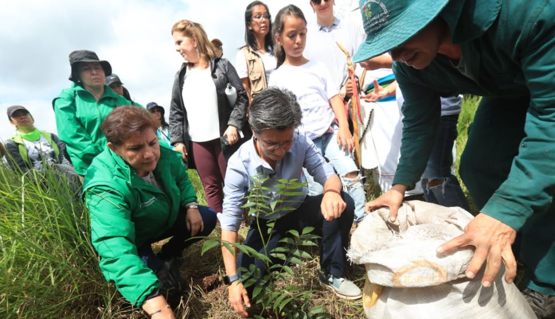 Reserva Thomas Van Der Hammen Bogotá: Comienza la restauración de la Reserva Thomas Van Der Hammen