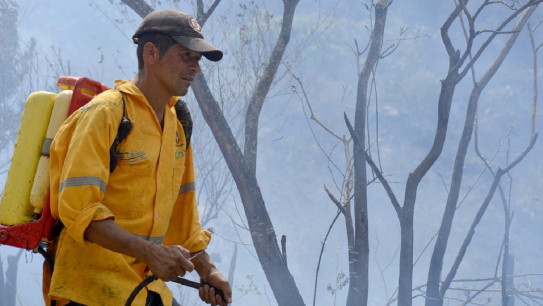 CAM alerta sobre la ocurrencia de incendios forestales