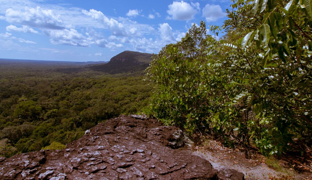 Juez modifica medias de protección a la Amazonia en Guaviare