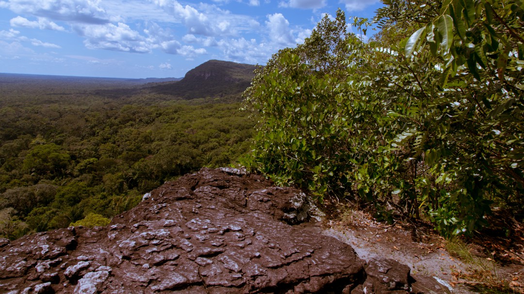 Juez modifica medias de protección a la Amazonia en Guaviare