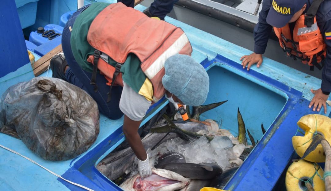 Pesca Ilegal: Capturados 3 hombres que realizaban pesca ilegal cerca de Malpelo
