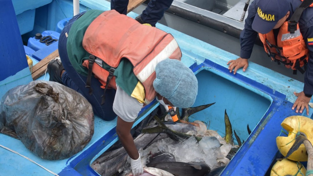 Capturados 3 hombres que realizaban pesca ilegal cerca de Malpelo
