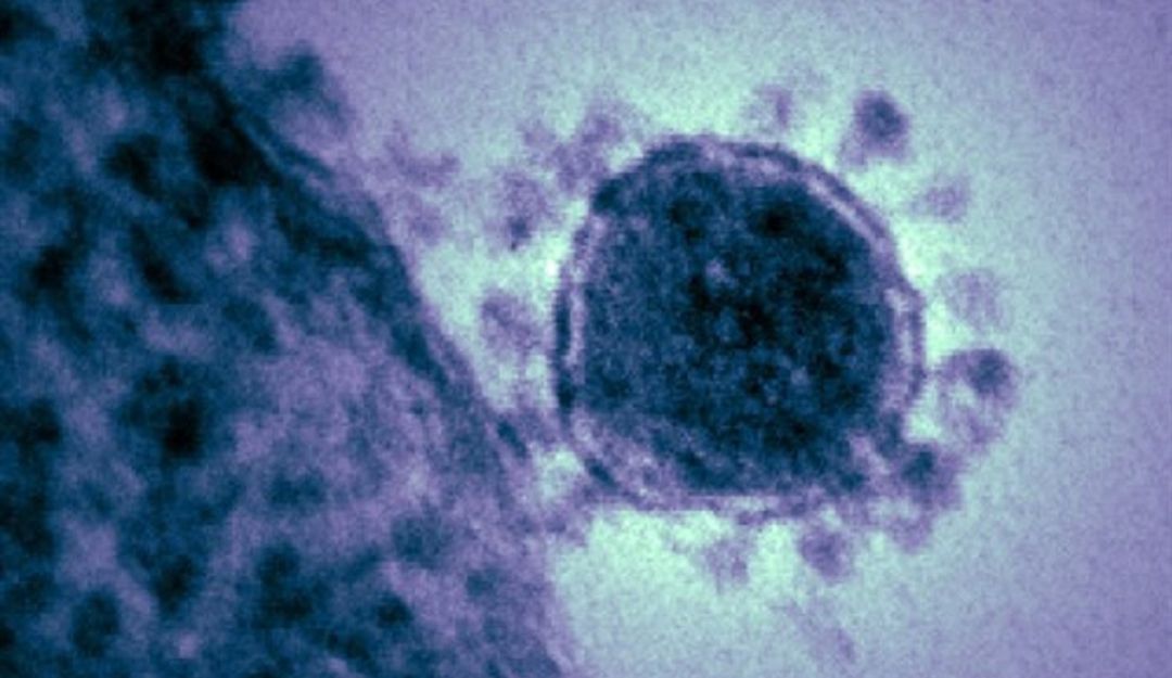Coronavirus en Antioquia: Inspeccionan campamento de empresa China en Mutatá a cargo de Mar2