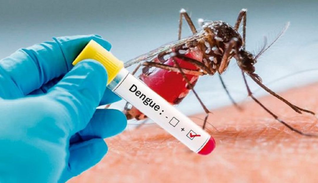 2020 BUCARAMANGA DENGUE 12 CASOS SINOS DE ALARMA: En 2020 se han reportado 121 casos de dengue en Bucaramanga